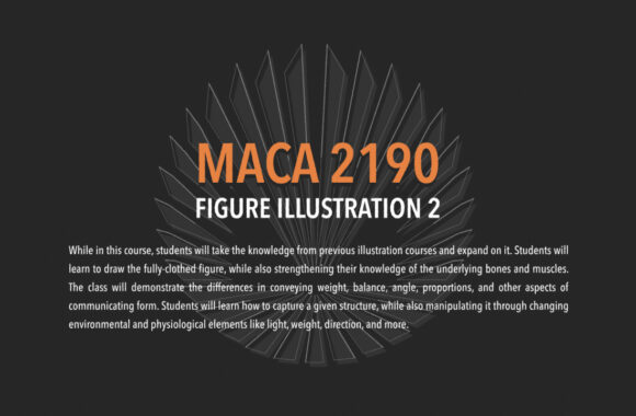 MACA 2190: Figure Illustration 2