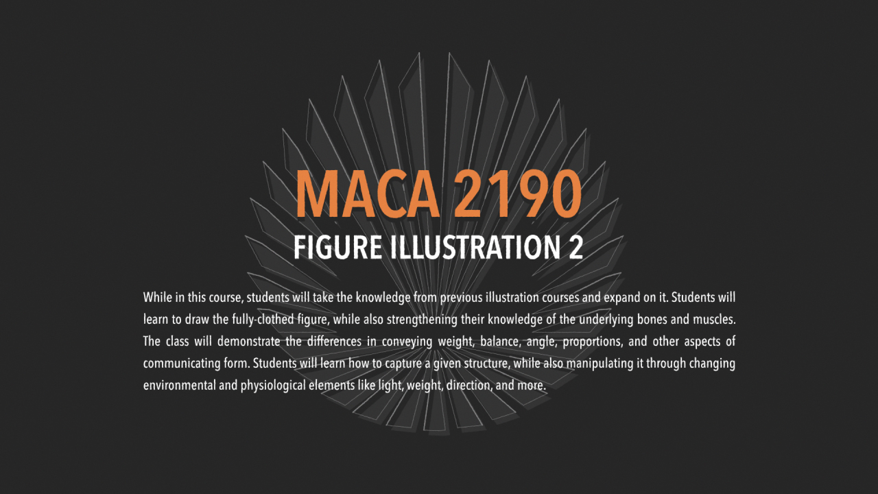 MACA 2190: Figure Illustration 2